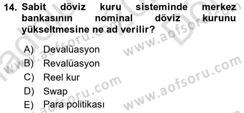 Uluslararası İktisat Dersi 2025 - 2026 Yılı (Final) Dönem Sonu Sınav Soruları 14. Soru
