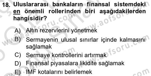 Uluslararası İktisat Dersi 2025 - 2026 Yılı (Final) Dönem Sonu Sınav Soruları 18. Soru