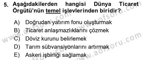 Uluslararası İktisat Dersi 2025 - 2026 Yılı (Final) Dönem Sonu Sınav Soruları 5. Soru