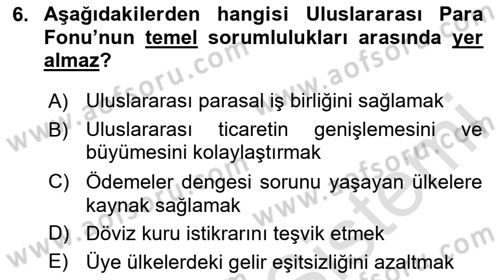 Uluslararası İktisat Dersi 2025 - 2026 Yılı (Final) Dönem Sonu Sınav Soruları 6. Soru