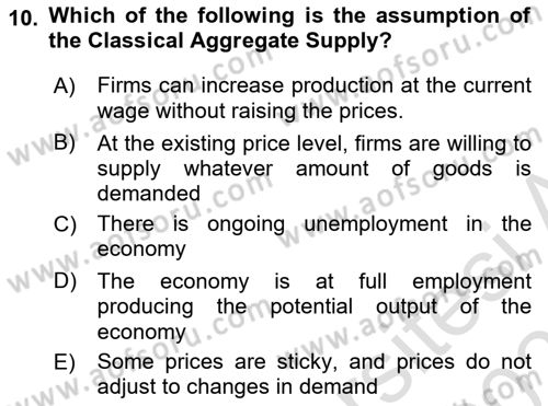 Macroeconomic Theory Dersi 2022 - 2023 Yılı Yaz Okulu Sınavı 10. Soru