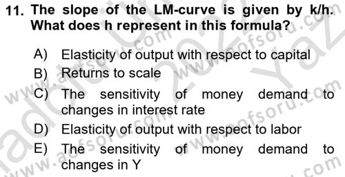 Macroeconomic Theory Dersi 2022 - 2023 Yılı Yaz Okulu Sınavı 11. Soru