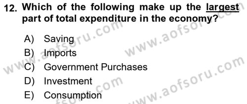 Macroeconomic Theory Dersi 2022 - 2023 Yılı Yaz Okulu Sınavı 12. Soru