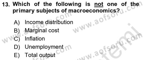 Macroeconomic Theory Dersi 2022 - 2023 Yılı Yaz Okulu Sınavı 13. Soru