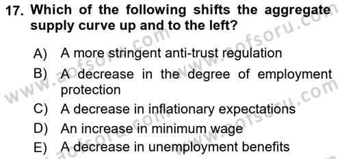 Macroeconomic Theory Dersi 2022 - 2023 Yılı Yaz Okulu Sınavı 17. Soru