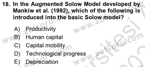 Macroeconomic Theory Dersi 2022 - 2023 Yılı Yaz Okulu Sınavı 18. Soru