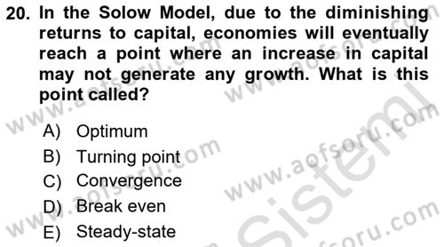 Macroeconomic Theory Dersi 2022 - 2023 Yılı Yaz Okulu Sınavı 20. Soru