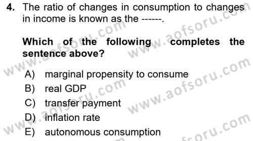 Macroeconomic Theory Dersi 2022 - 2023 Yılı Yaz Okulu Sınavı 4. Soru