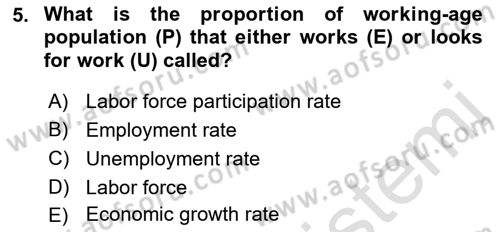 Macroeconomic Theory Dersi 2022 - 2023 Yılı Yaz Okulu Sınavı 5. Soru