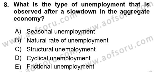 Macroeconomic Theory Dersi 2022 - 2023 Yılı Yaz Okulu Sınavı 8. Soru