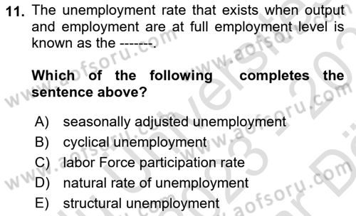 Macroeconomic Theory Dersi 2023 - 2024 Yılı (Vize) Ara Sınav Soruları 11. Soru