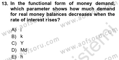 Macroeconomic Theory Dersi 2023 - 2024 Yılı (Vize) Ara Sınav Soruları 13. Soru