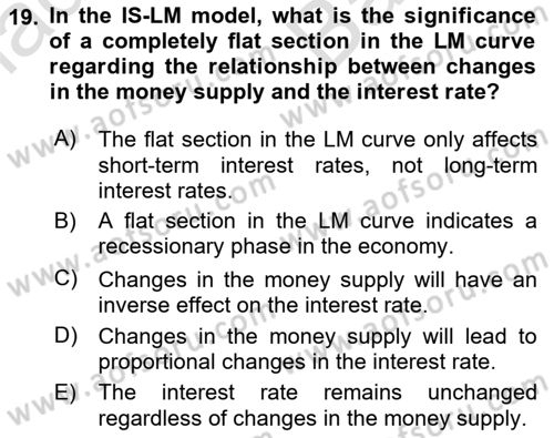 Macroeconomic Theory Dersi 2023 - 2024 Yılı (Vize) Ara Sınav Soruları 19. Soru