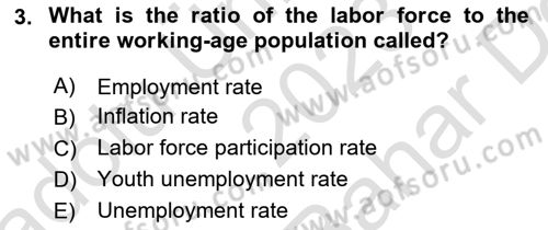 Macroeconomic Theory Dersi 2023 - 2024 Yılı (Vize) Ara Sınav Soruları 3. Soru