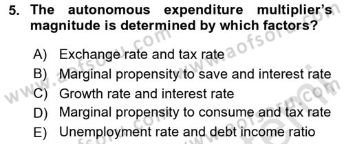 Macroeconomic Theory Dersi 2023 - 2024 Yılı (Vize) Ara Sınav Soruları 5. Soru