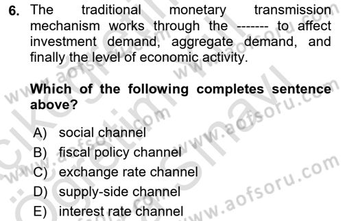 Macroeconomic Theory Dersi 2023 - 2024 Yılı (Vize) Ara Sınav Soruları 6. Soru