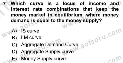 Macroeconomic Theory Dersi 2023 - 2024 Yılı (Vize) Ara Sınav Soruları 7. Soru