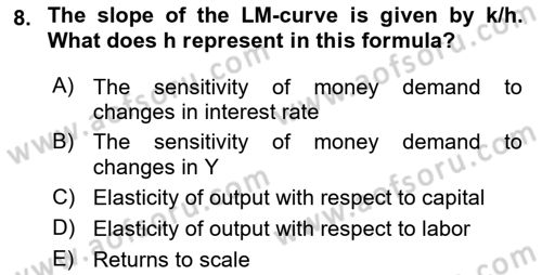 Macroeconomic Theory Dersi 2023 - 2024 Yılı (Vize) Ara Sınav Soruları 8. Soru