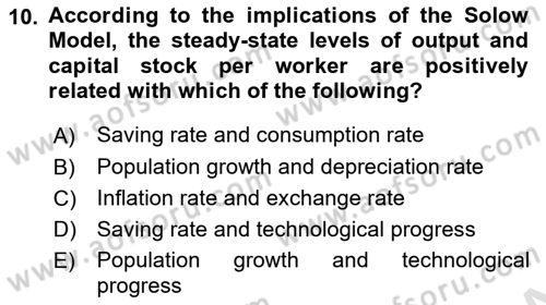 Macroeconomic Theory Dersi 2023 - 2024 Yılı (Final) Dönem Sonu Sınav Soruları 10. Soru