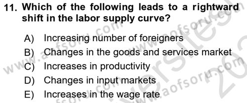 Macroeconomic Theory Dersi 2023 - 2024 Yılı (Final) Dönem Sonu Sınav Soruları 11. Soru