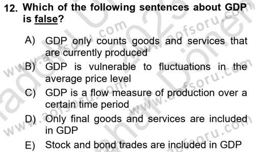 Macroeconomic Theory Dersi 2023 - 2024 Yılı (Final) Dönem Sonu Sınav Soruları 12. Soru