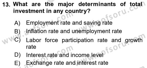 Macroeconomic Theory Dersi 2023 - 2024 Yılı (Final) Dönem Sonu Sınav Soruları 13. Soru