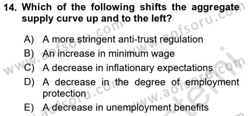 Macroeconomic Theory Dersi 2023 - 2024 Yılı (Final) Dönem Sonu Sınav Soruları 14. Soru