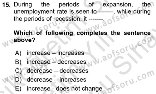 Macroeconomic Theory Dersi 2023 - 2024 Yılı (Final) Dönem Sonu Sınav Soruları 15. Soru