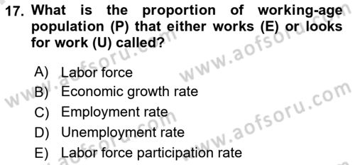 Macroeconomic Theory Dersi 2023 - 2024 Yılı (Final) Dönem Sonu Sınav Soruları 17. Soru