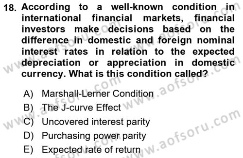 Macroeconomic Theory Dersi 2023 - 2024 Yılı (Final) Dönem Sonu Sınav Soruları 18. Soru