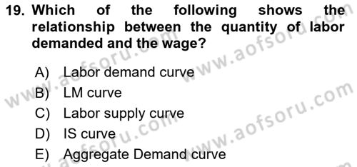 Macroeconomic Theory Dersi 2023 - 2024 Yılı (Final) Dönem Sonu Sınav Soruları 19. Soru