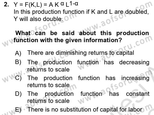 Macroeconomic Theory Dersi 2023 - 2024 Yılı (Final) Dönem Sonu Sınav Soruları 2. Soru