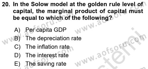 Macroeconomic Theory Dersi 2023 - 2024 Yılı (Final) Dönem Sonu Sınav Soruları 20. Soru