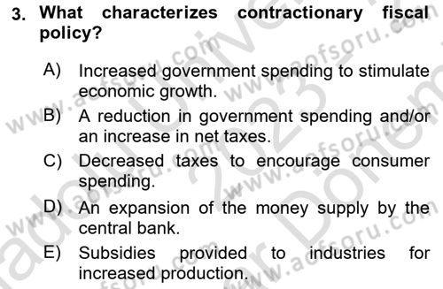 Macroeconomic Theory Dersi 2023 - 2024 Yılı (Final) Dönem Sonu Sınav Soruları 3. Soru
