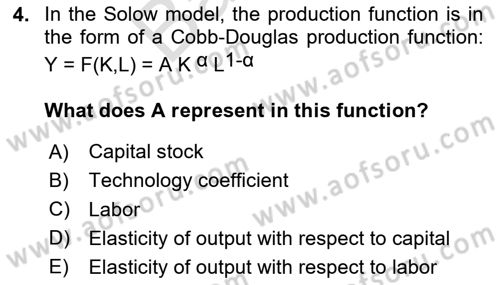 Macroeconomic Theory Dersi 2023 - 2024 Yılı (Final) Dönem Sonu Sınav Soruları 4. Soru