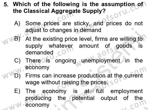 Macroeconomic Theory Dersi 2023 - 2024 Yılı (Final) Dönem Sonu Sınav Soruları 5. Soru