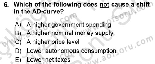 Macroeconomic Theory Dersi 2023 - 2024 Yılı (Final) Dönem Sonu Sınav Soruları 6. Soru