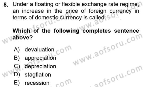 Macroeconomic Theory Dersi 2023 - 2024 Yılı (Final) Dönem Sonu Sınav Soruları 8. Soru