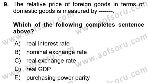 Macroeconomic Theory Dersi 2023 - 2024 Yılı (Final) Dönem Sonu Sınav Soruları 9. Soru
