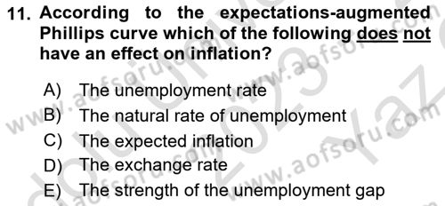 Macroeconomic Theory Dersi 2023 - 2024 Yılı Yaz Okulu Sınav Soruları 11. Soru