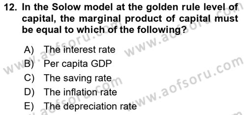 Macroeconomic Theory Dersi 2023 - 2024 Yılı Yaz Okulu Sınav Soruları 12. Soru