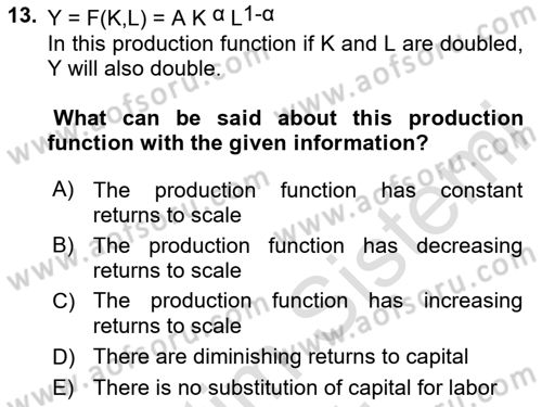 Macroeconomic Theory Dersi 2023 - 2024 Yılı Yaz Okulu Sınav Soruları 13. Soru