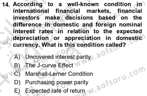 Macroeconomic Theory Dersi 2023 - 2024 Yılı Yaz Okulu Sınav Soruları 14. Soru