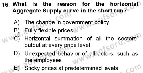 Macroeconomic Theory Dersi 2023 - 2024 Yılı Yaz Okulu Sınav Soruları 16. Soru
