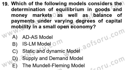 Macroeconomic Theory Dersi 2023 - 2024 Yılı Yaz Okulu Sınav Soruları 19. Soru