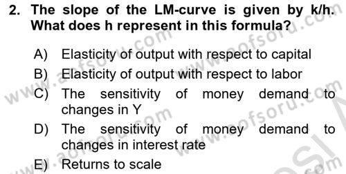 Macroeconomic Theory Dersi 2023 - 2024 Yılı Yaz Okulu Sınav Soruları 2. Soru