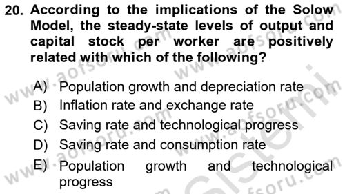 Macroeconomic Theory Dersi 2023 - 2024 Yılı Yaz Okulu Sınav Soruları 20. Soru
