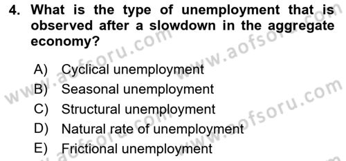 Macroeconomic Theory Dersi 2023 - 2024 Yılı Yaz Okulu Sınav Soruları 4. Soru