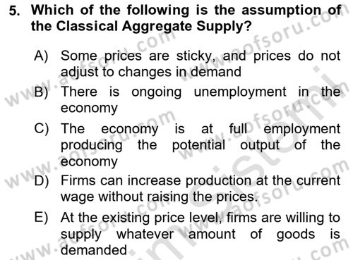 Macroeconomic Theory Dersi 2023 - 2024 Yılı Yaz Okulu Sınav Soruları 5. Soru