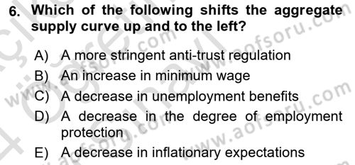Macroeconomic Theory Dersi 2023 - 2024 Yılı Yaz Okulu Sınav Soruları 6. Soru